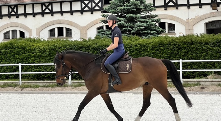 Hungary Sport Horse - gelding 
